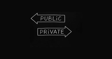 Privatizations of Government Sector