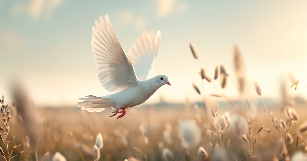 Finding Inner Peace