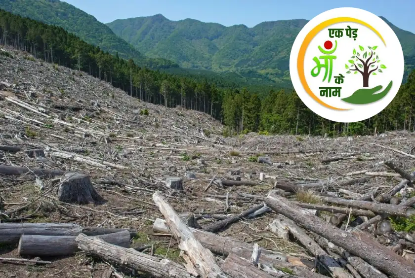 Why One Tree is Not Enough