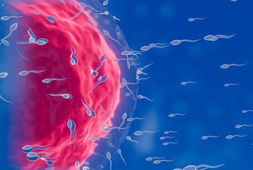 millions of sperm cells