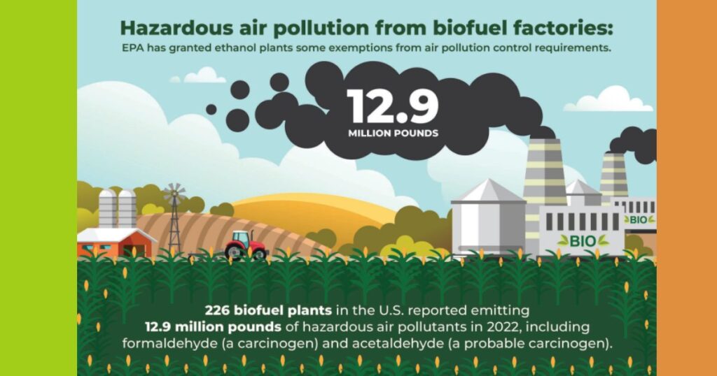 The Environmental Cost of Green Fuel