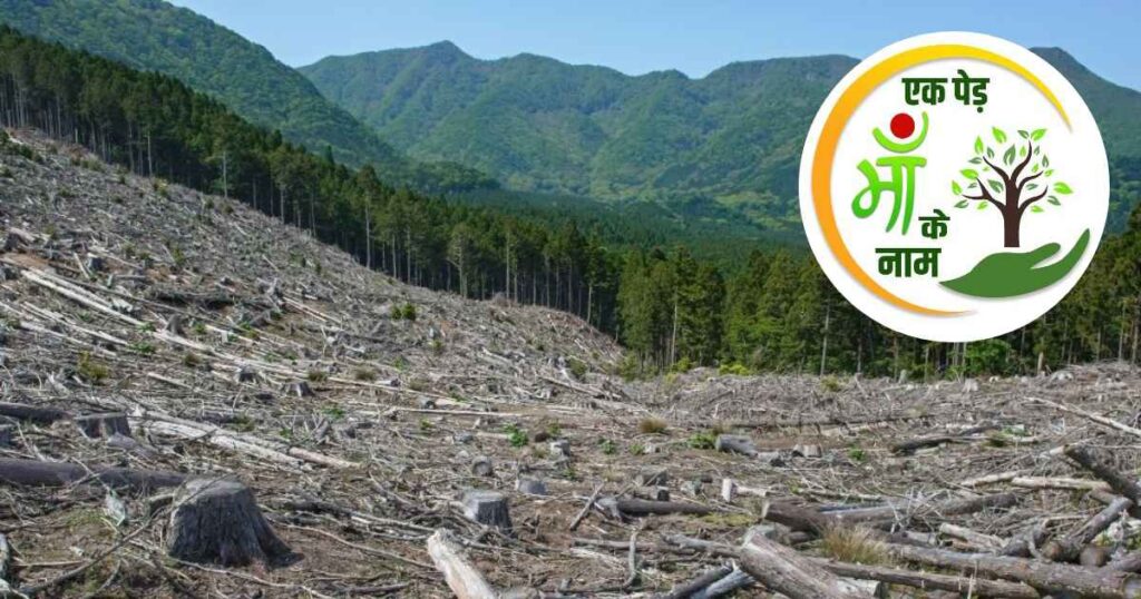 Why One Tree is Not Enough