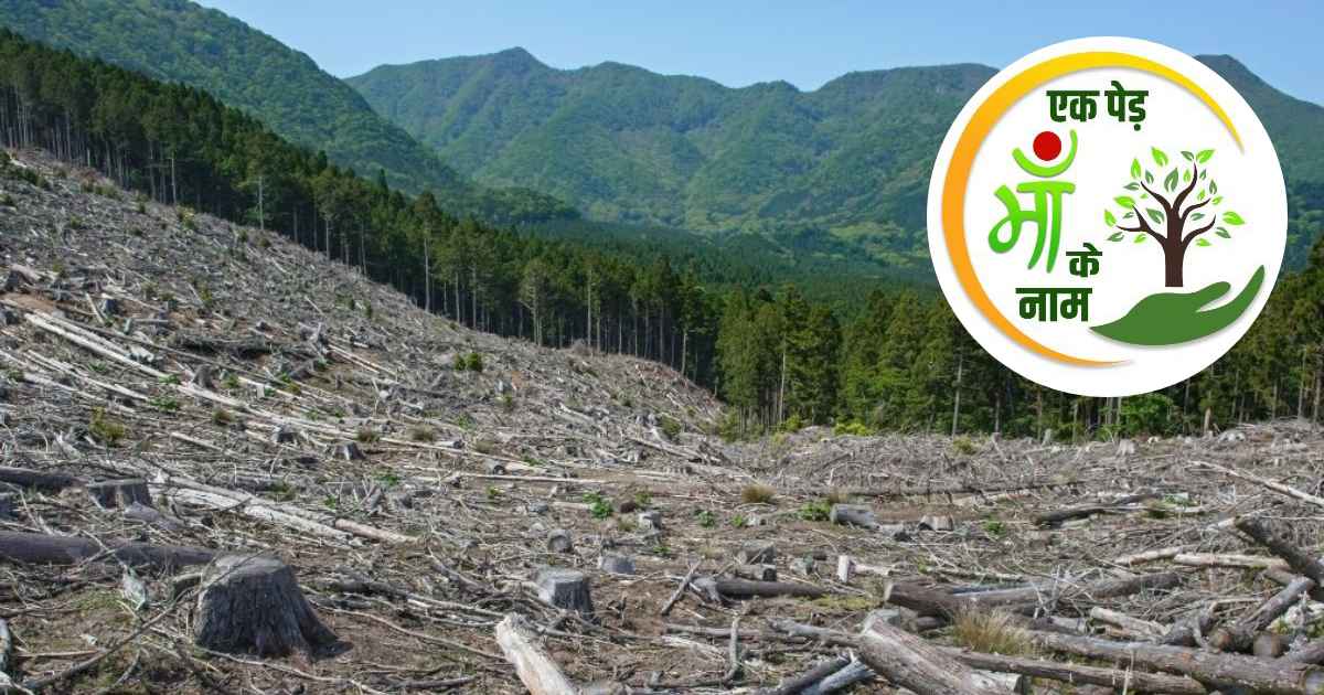 Why One Tree is Not Enough